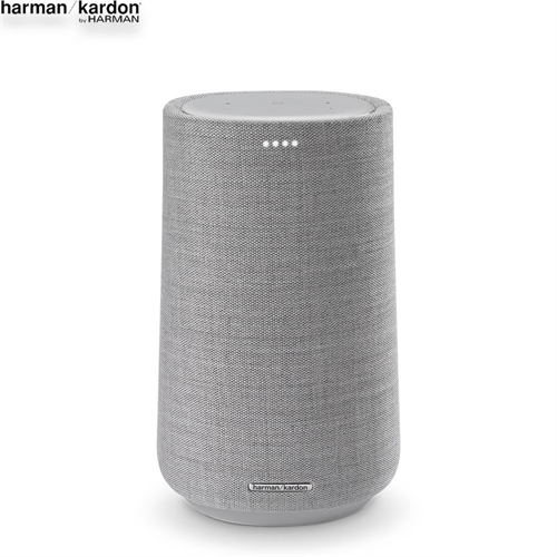 Loa Harman Kardon Citation 100 8